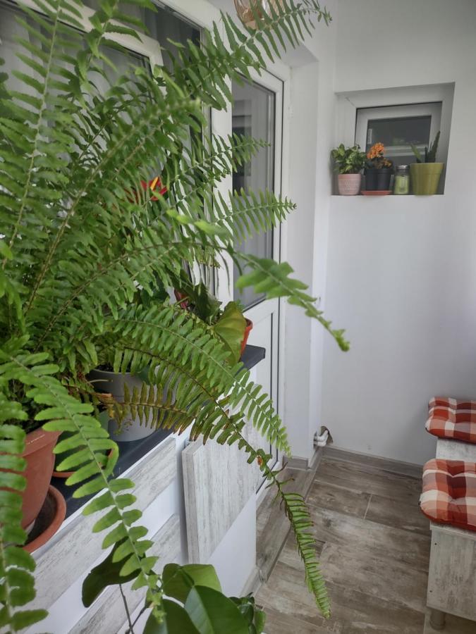 Apartament Piteşti Exterior foto